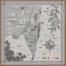 Load image into Gallery viewer, Map Of Palestine Cashmere Shawl by ANZ Clothing