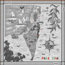 Load image into Gallery viewer, Map Of Palestine Cashmere Shawl by ANZ Clothing
