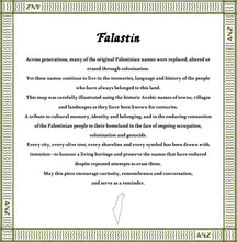 Load image into Gallery viewer, Pre-order Limited-Edition Falastin Silk Scarf By ANZ
